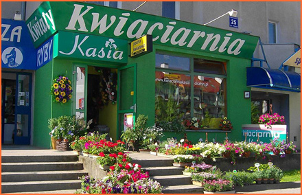 Powiększ
